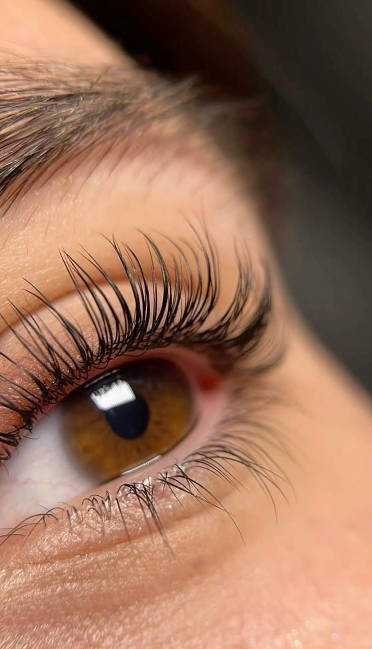 Formation cil à cil (1 jour)